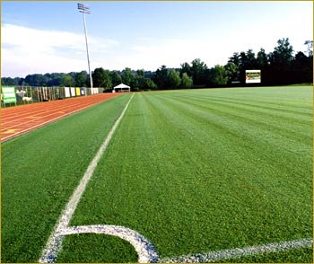 Green soccer field with white sideline and corner arc on a sunny day